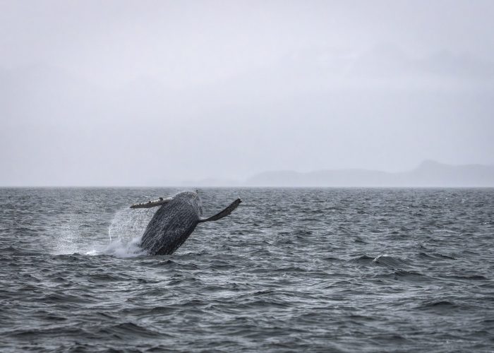 _DSC4633-Mejorado-NR